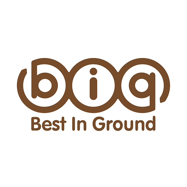 Best In Ground Company